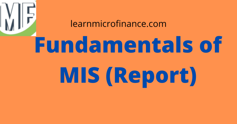 Fundamentals of MIS (Report)